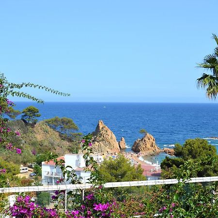 Blanca Paloma - Holiday House Villa Tossa de Mar Rom bilde